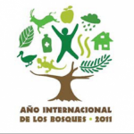 BOSQUES1-300x293