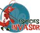 especies invasoras logo
