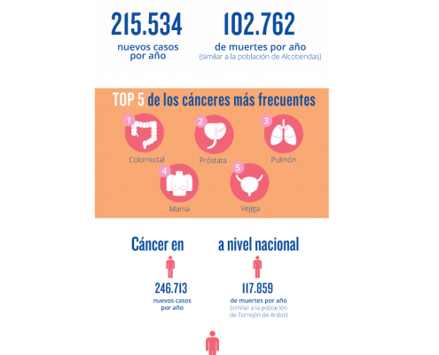 INFOGRAFIA_DMCC2017_2