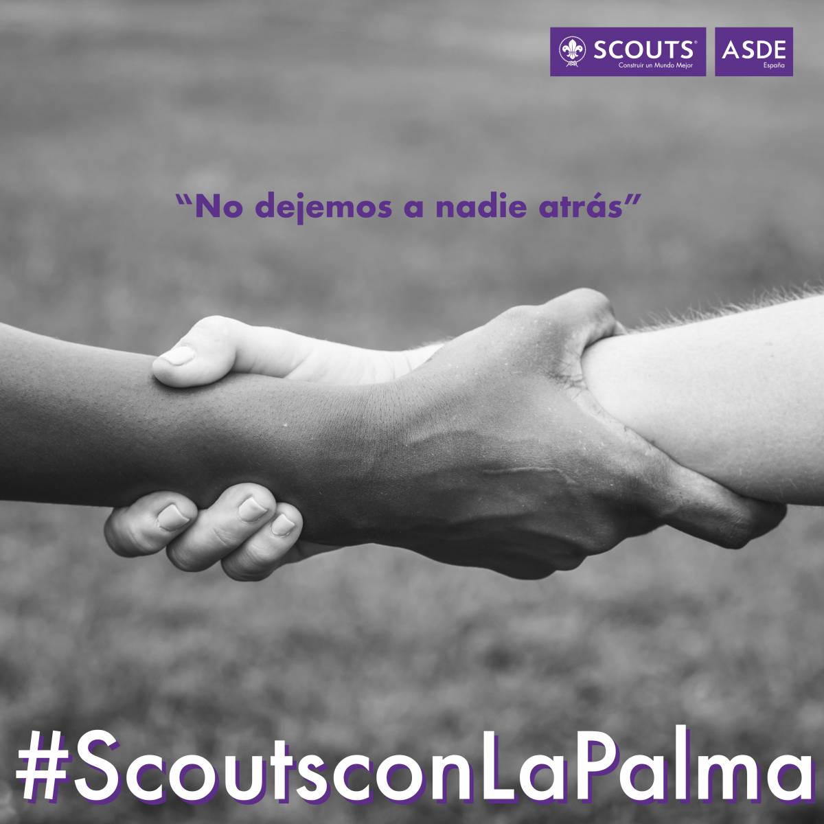 ScoutsConLaPalma: las personas afectadas por el volcán